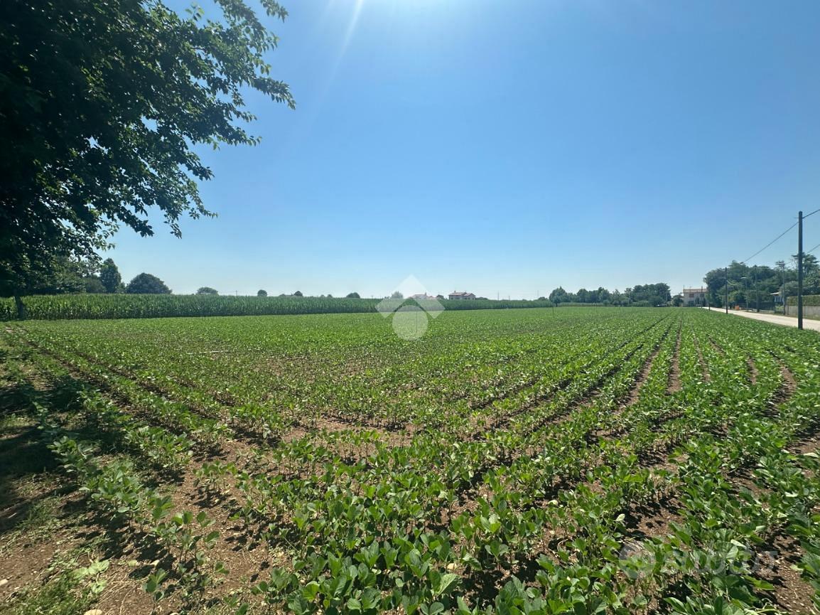 TERRENO A LORIA - Vista 5