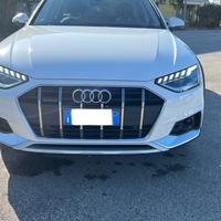 Audi A4 allroad Business Evolution 40 TDI s Tronic