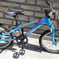 MTB (Mountainbike) HAIBIKE Greedy 20