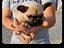 Immagine 6