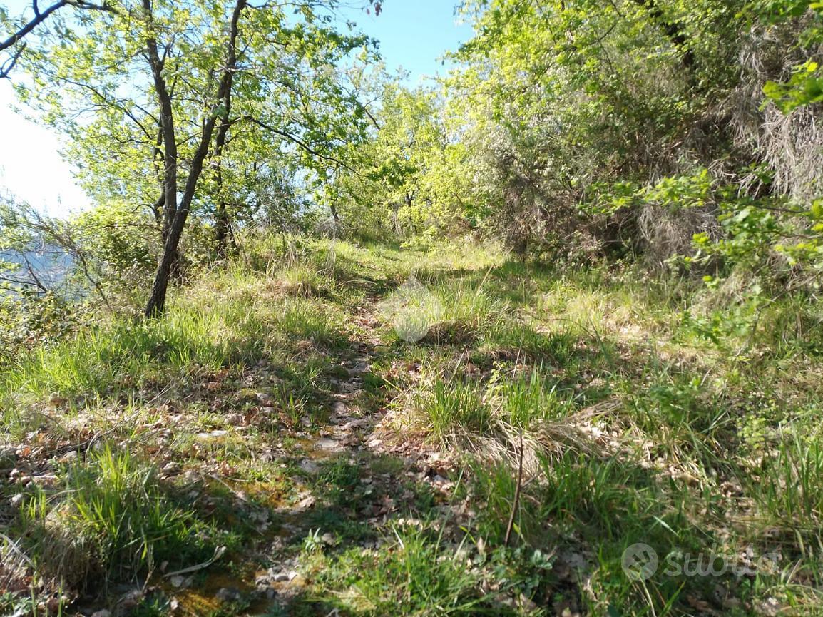 TER. AGRICOLO A CASTROLIBERO - Vista 2
