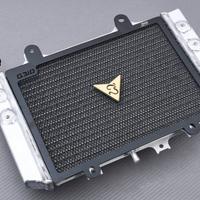 Radiatore BMW con Griglia G310GS 2016 - 2020