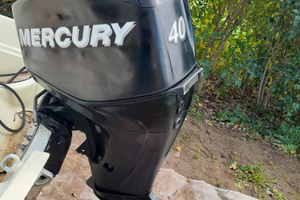 Ricambi fuoribordo mercury 40 60 efi