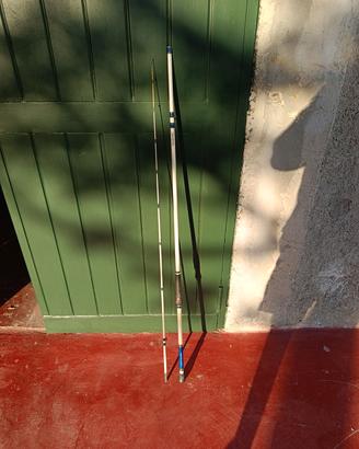 Canna Daiwa acqualite 