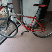 Bicicletta Bottecchia 