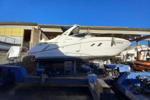 Sea Ray 335 natante