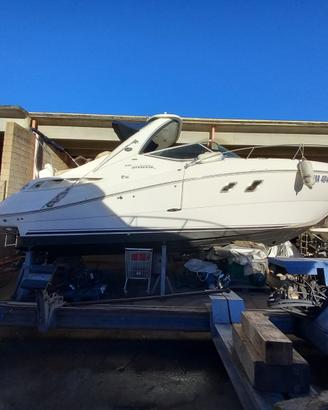 Sea Ray 335 natante