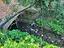 Immagine 25