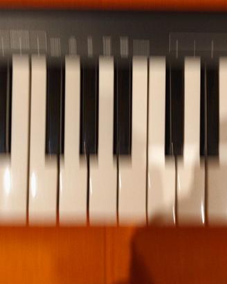 Tastiera Alesis Q49