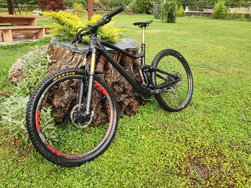 SCOTT GENIUS TOP DI GAMMA