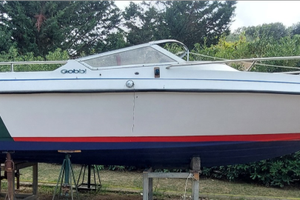 Barca gobbi 21 SPORT con 140cv