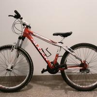 Bicicletta da bambino