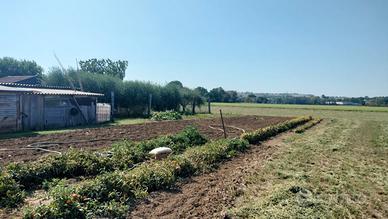 Terreno di 2 ettari