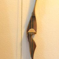 Arco HOYT pro hunter