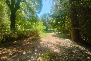 Rif.40 TerrenoAgricolo Villa Venosa Albano Lazial