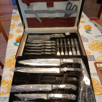 Set coltelli in valigetta