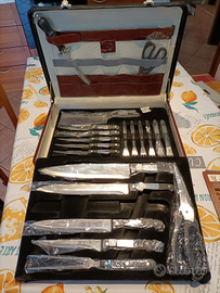 Set coltelli in valigetta