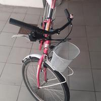 Bicicletta