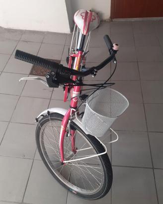 Bicicletta