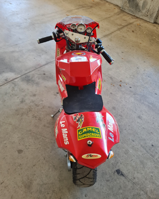 Minimoto giapponese