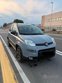 Panda 2021