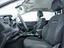 Immagine 7