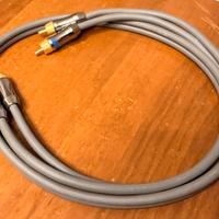 Cavo audio rca MIT segnale exp3