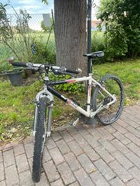 Bici da corsa sintesi