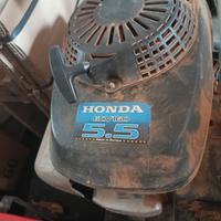 raccoglitrice,cernitrice