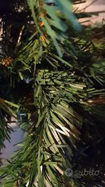 albero di natale