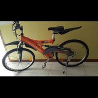 bella bici Bottecchia in lega di alluminio