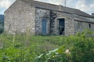 Terreno agricolo