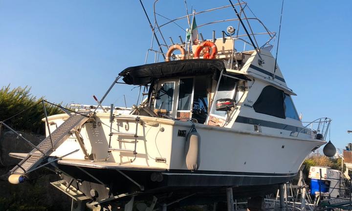 Barca Bertram 35 Fly 10.000 euro