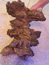 Rocciata rocce pesci