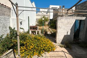 Casa con volte a stella -