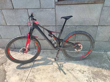 Stumpjumper carbon