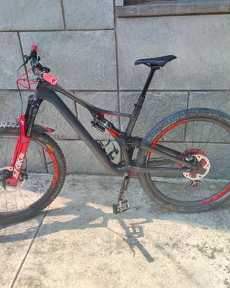Stumpjumper carbon