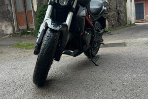 Benelli bn302s