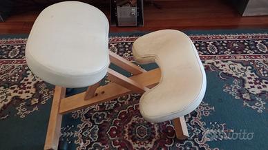 sgabello/sedia ergonomico per pc