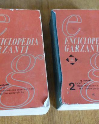 Enciclopedia Garzanti 2 Volumi Vintage