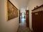 Immagine 7