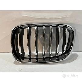 BMW X3 G01 / X4 G02 Griglia / Sinistra - 14603
