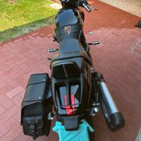 Harley Davidson V-ROD vrscdx