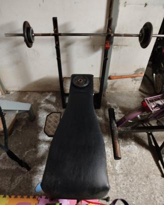 palestra