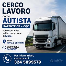 Lavoro autista CE + CQC