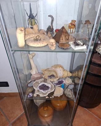 Vetrinetta Detolf con luce