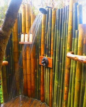 Bambù - canne di bambu per hobby e arredamento