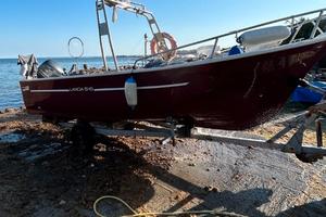 BARCA MT 5.50 Nautica Liver