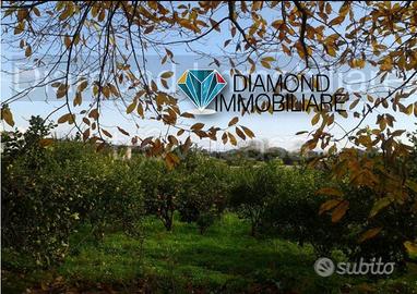 Soluzione singola con terreno a Macchia di Giarre