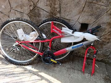 Mountain bike